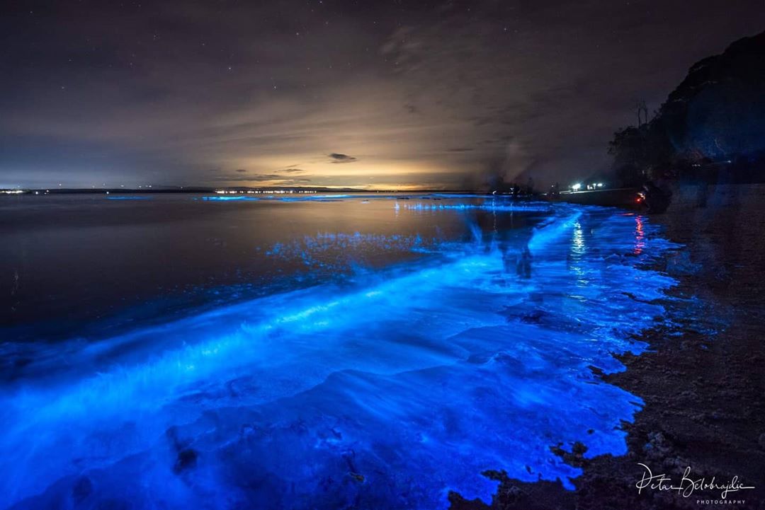 'Blue tide' lights up Jervis Bay